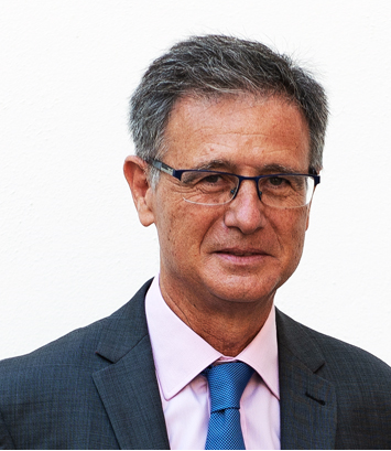 Diputado 11